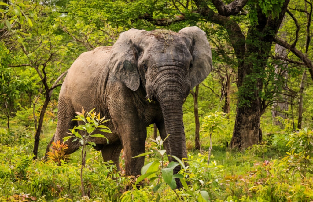 grok image 2ebcdc5b 38dd 4e74 aa79 eebd29425b1e