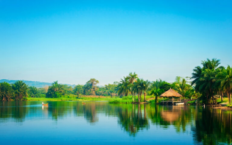 grok image 57af76a1 622b 4049 8437 a505ea3be4a9