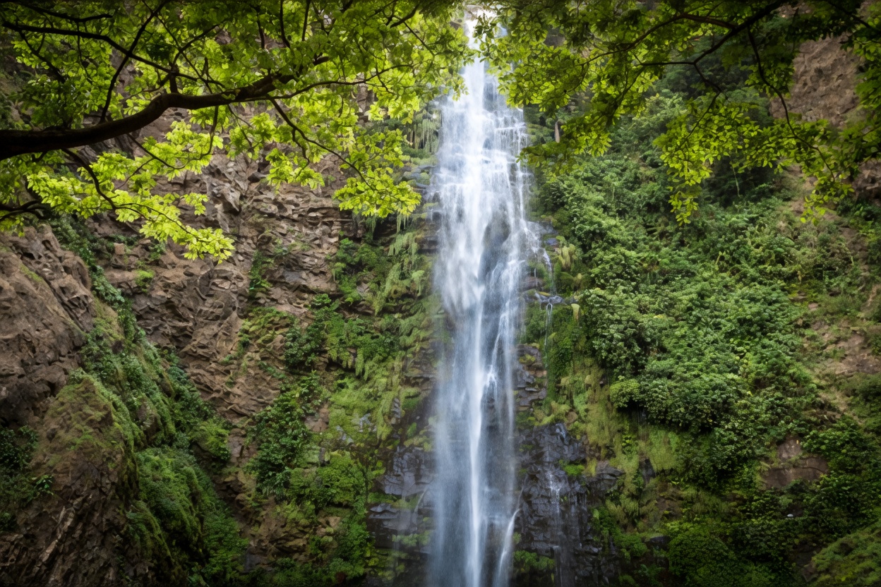 grok image f03851e8 c2fd 4ea3 8cfe 917b241c81ca